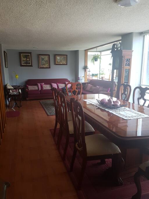 Sala y comedor (Living and dining room)