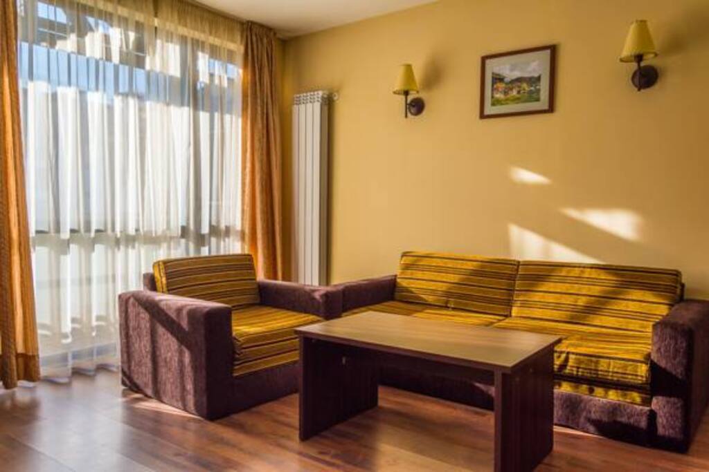Apartment's living room