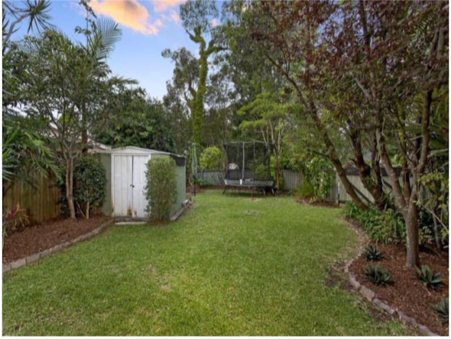 Backyard