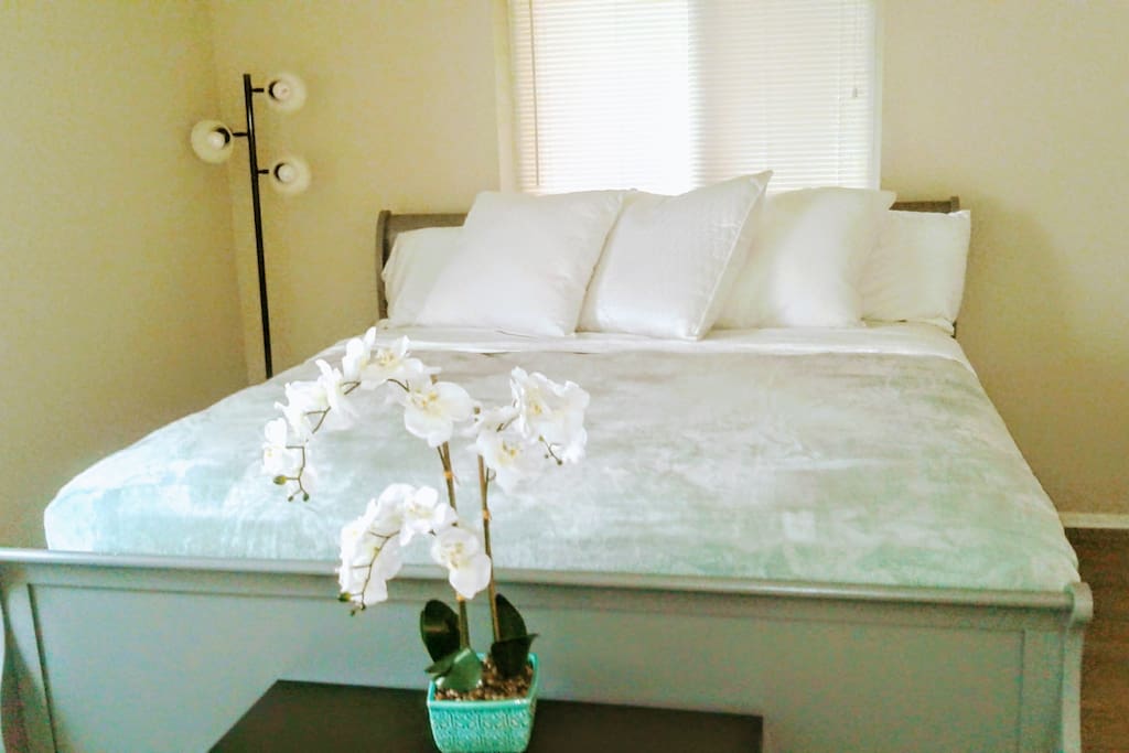 Master bedroom (premium quality king size bed).