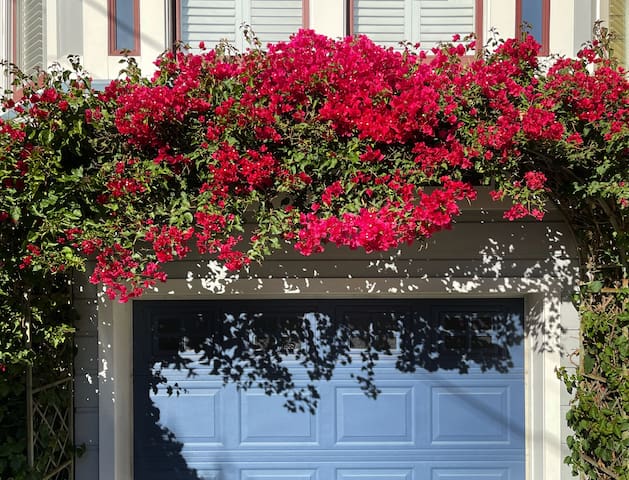Totally Renovated Victorian House in Center SF!