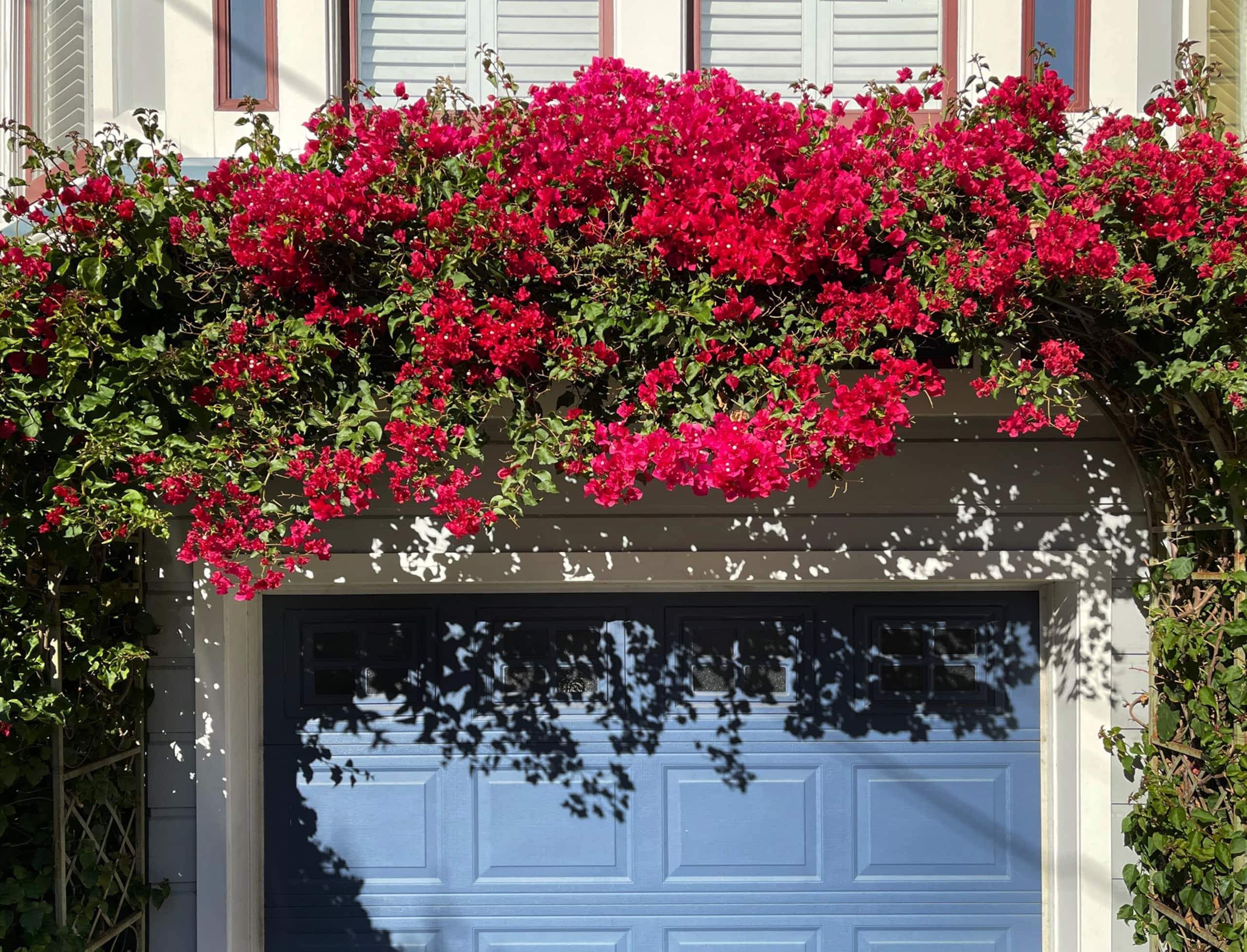 Home in San Francisco · ★4.91 · 3 bedrooms · 3 beds · 2.5 baths - Image 1