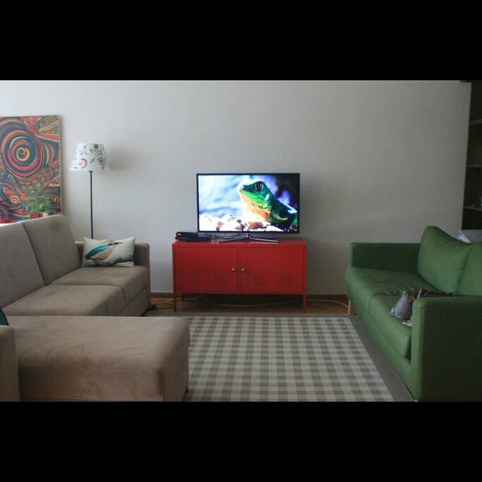 Spacious and modern living room ( only a part of it)