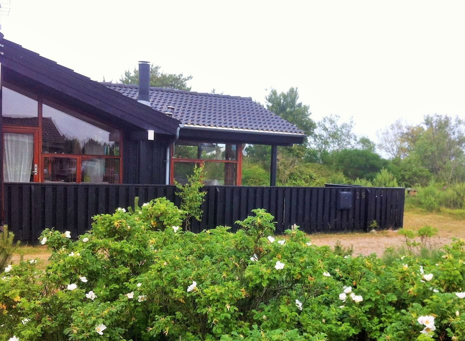 House seen from the side with drive way to roofed parking - WELCOME
