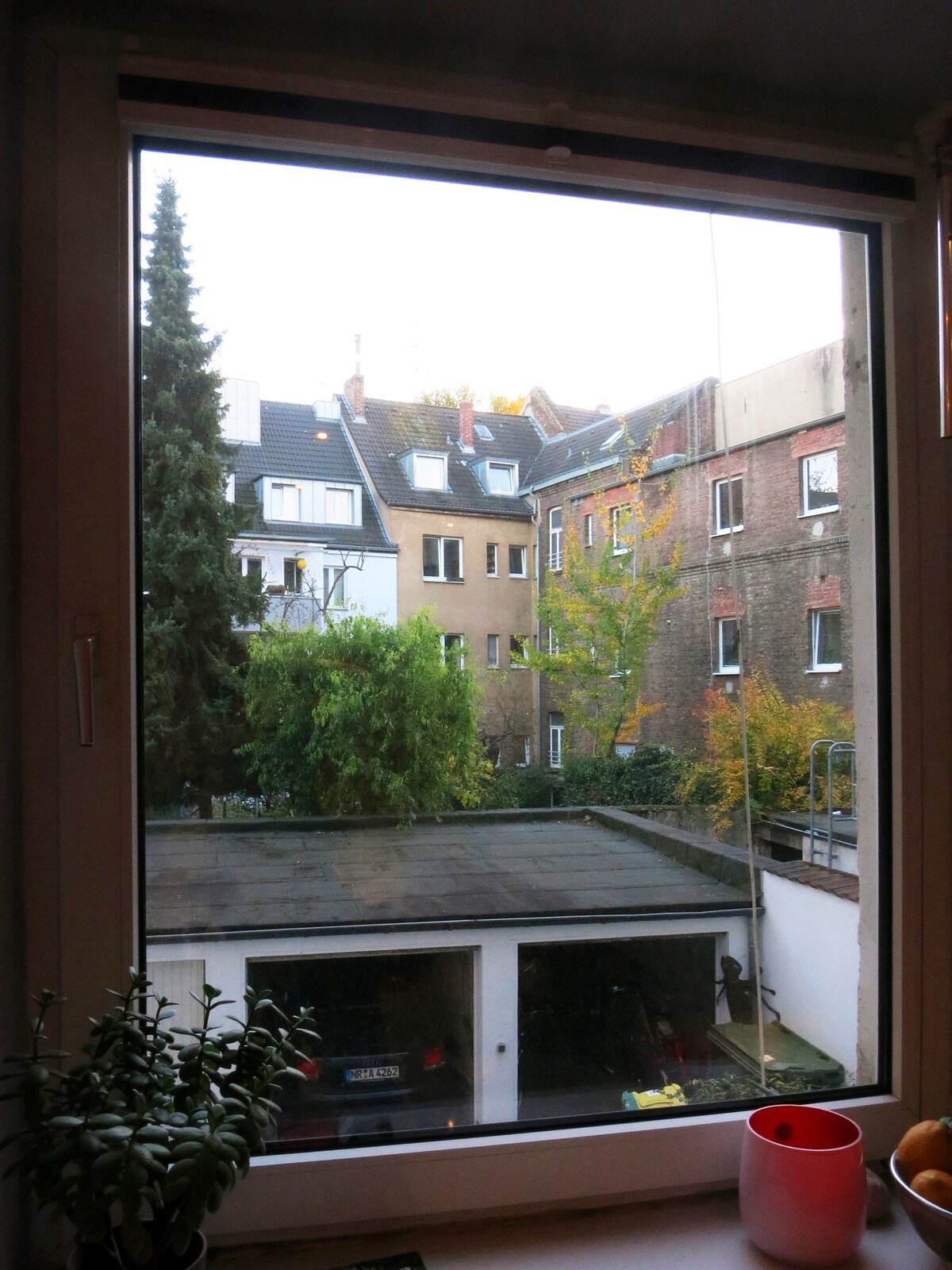 An outdoor view is captured through a window, showcasing buildings with varied architectural styles. Lush green trees provide a contrast against the urban setting. A portion of a flat roof and a glimpse of parked vehicles are visible below, indicating a quiet neighborhood atmosphere.