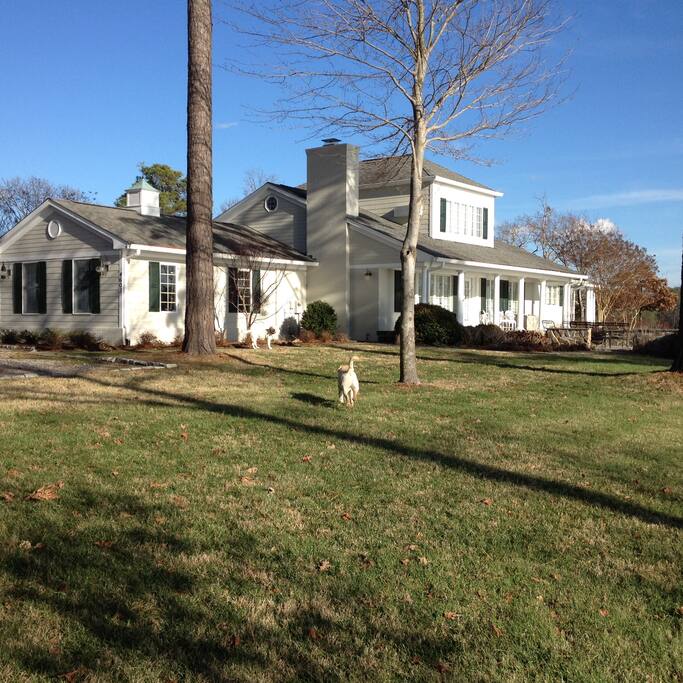 big lawn for kids to run around on