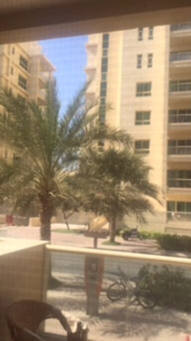 Balcony View