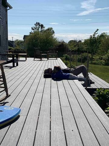 Après Sea -Ocean View, A/C, Private Road, 2ac Yard gallery image 5