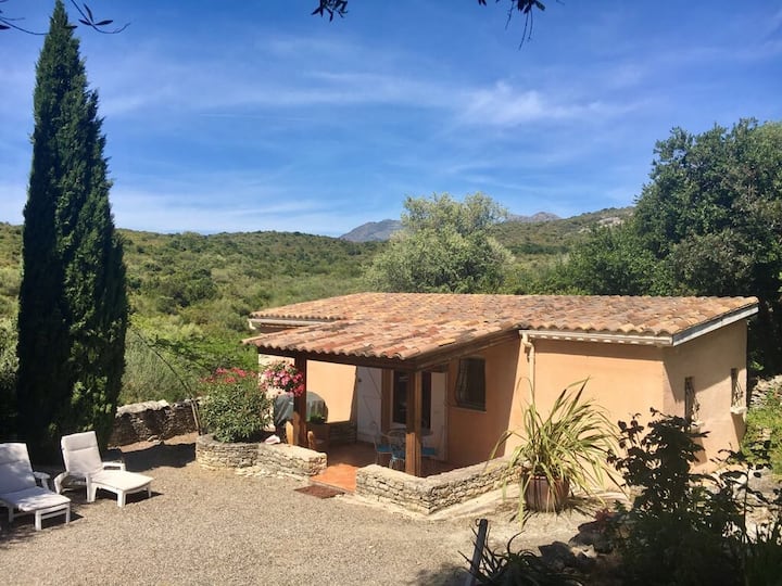 House in St Florent