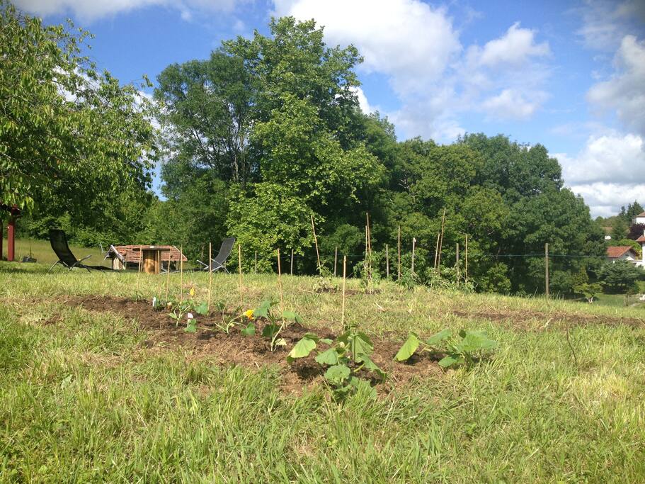 mini potager entre voisins