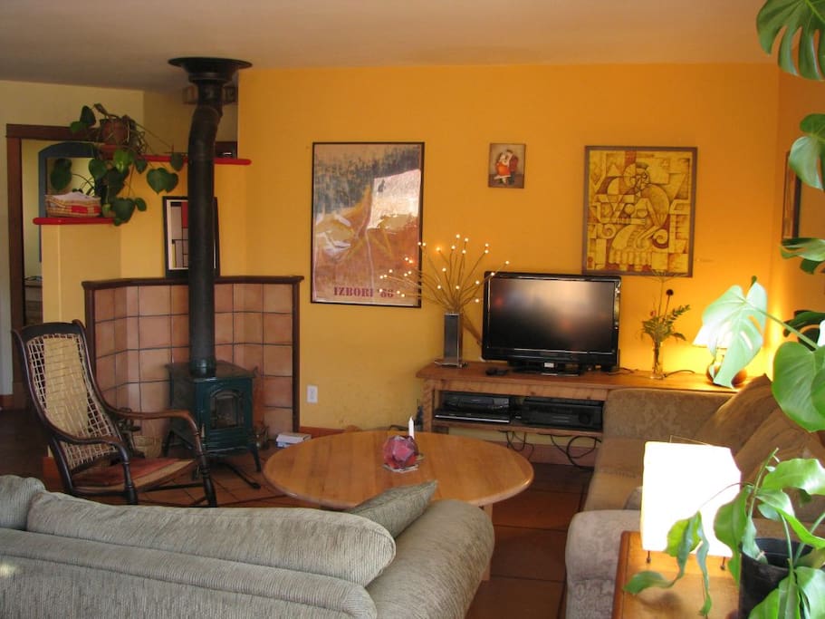 The living area with the cozy wood stove