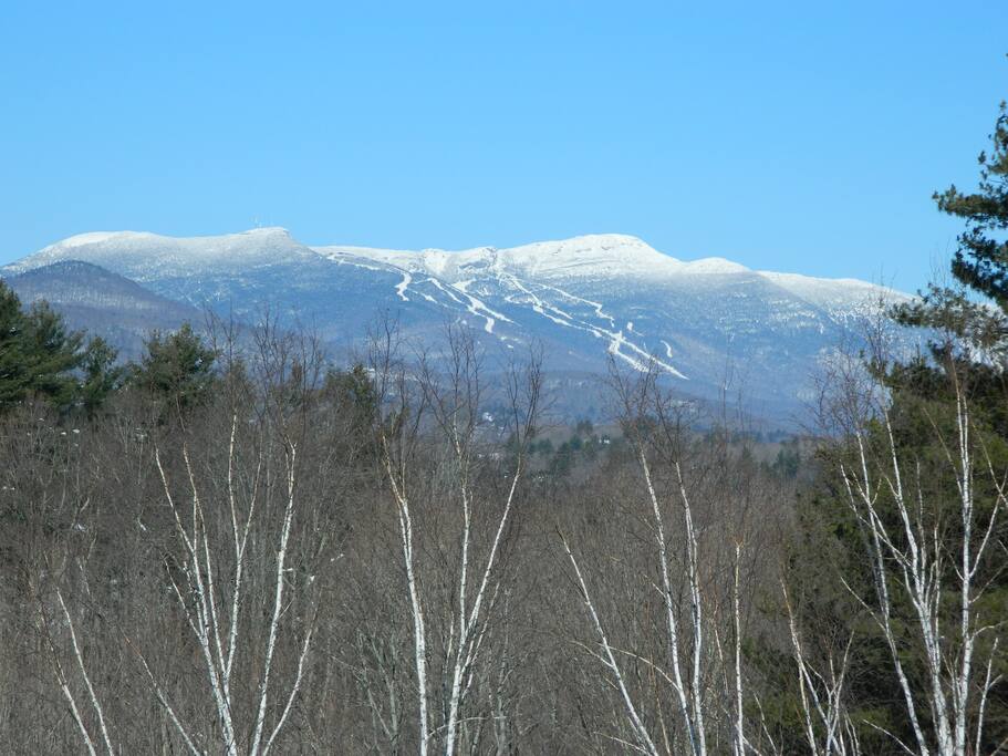 Winter views