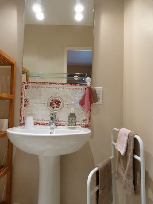 Salle de bain douche avec toilettes privés