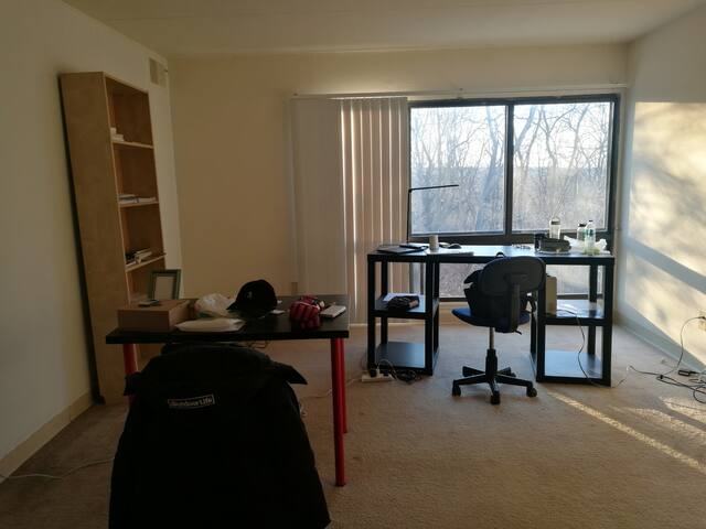 Whole unit of apartment, Aug 2020