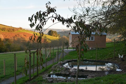 Snug Oak Hut med utsikt över en walesisk Hill-gård