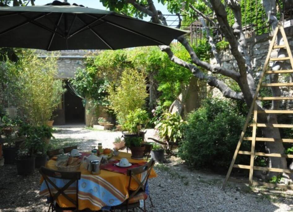Petit déjeuner dans le jardin
