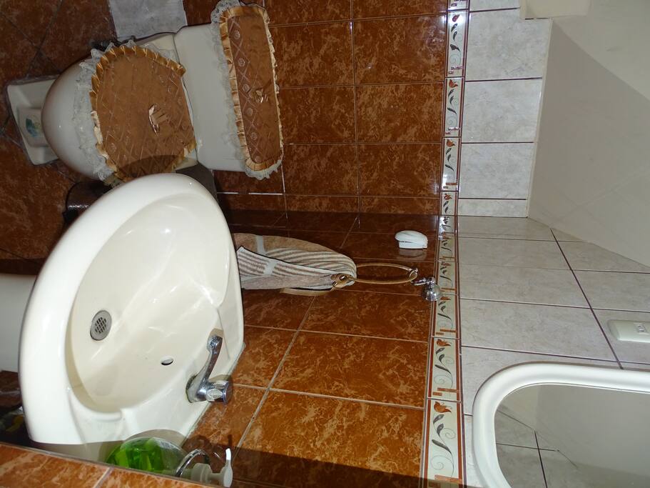Baño de visita