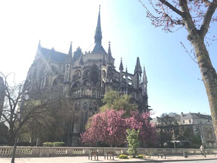 At the foot of Reims Cathedral - Downtown