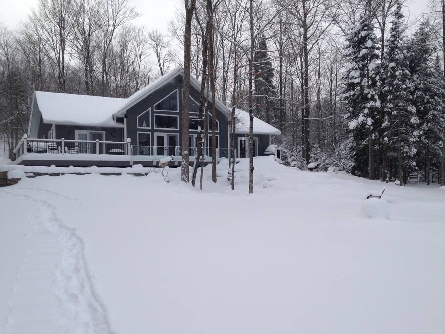 Winter