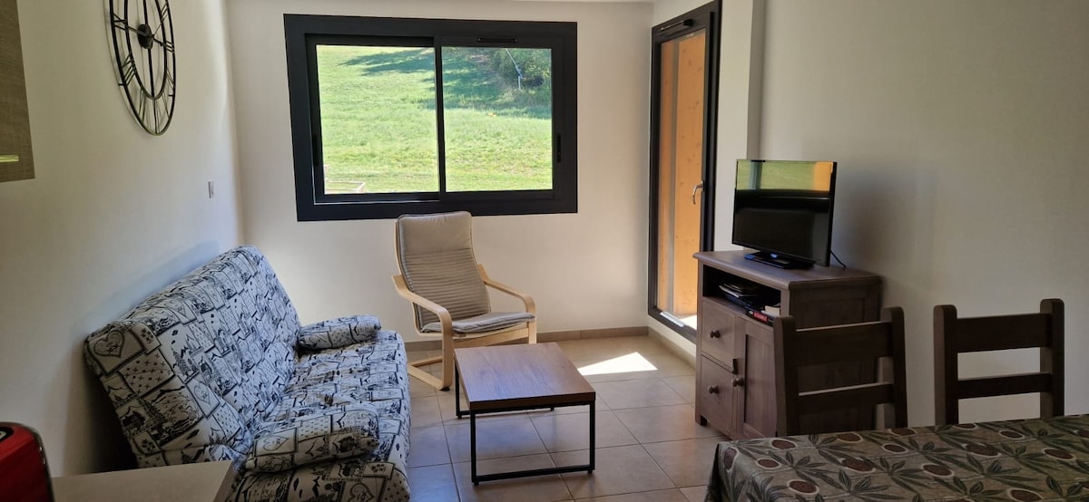 Top performing Airbnb: Recent 2-bedroom ski-in/out in Ancelle