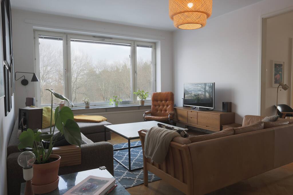 Living room 2