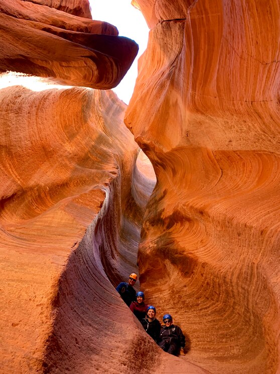 Show full-screen, host-provided image