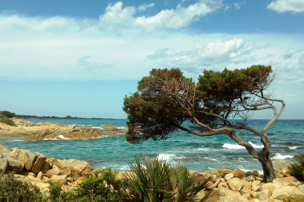 Spiaggia più vicina