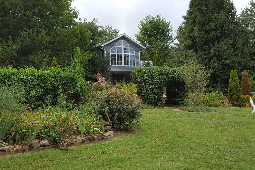 Your perch in the clouds... where eagles and herons are (literally) at your back door.