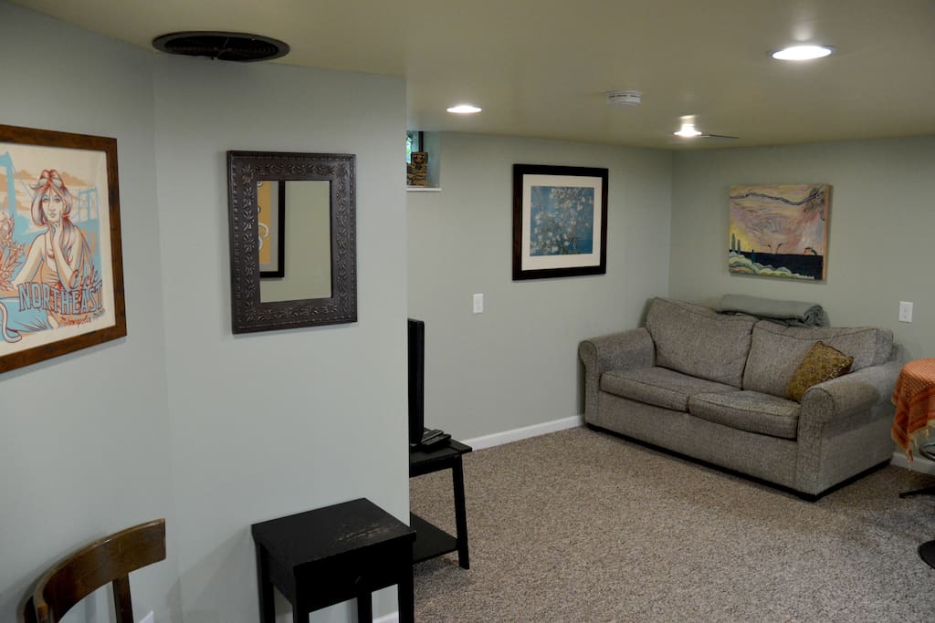Full size sofa bed perfect for extra guest