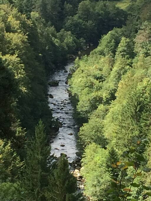Le Lignon