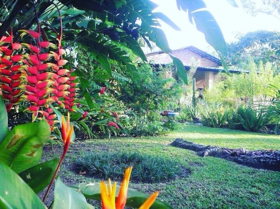 Jardim tropical