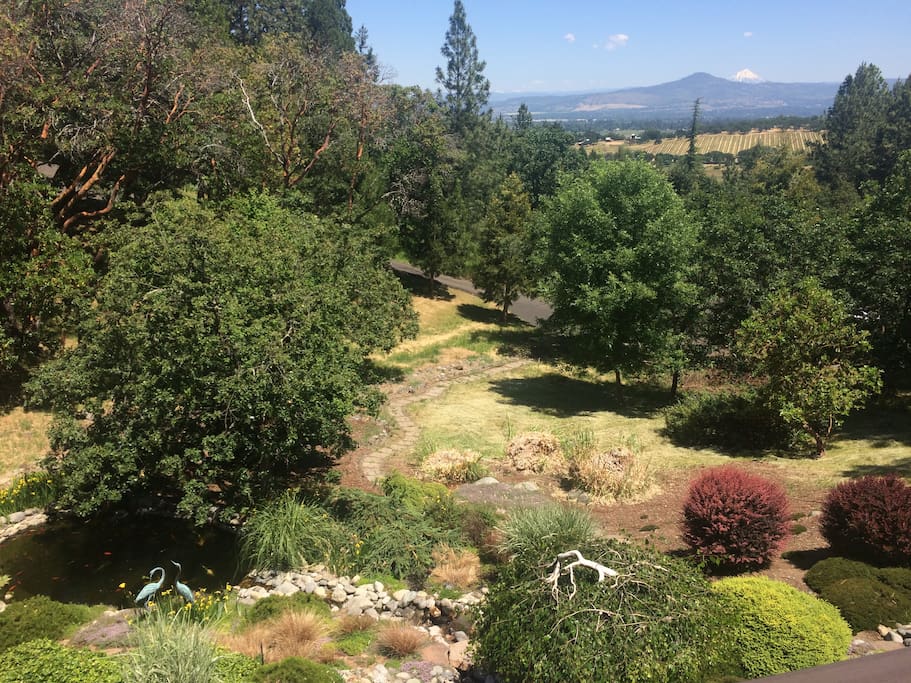 Koi pond and view of Mt. Mcloughlin