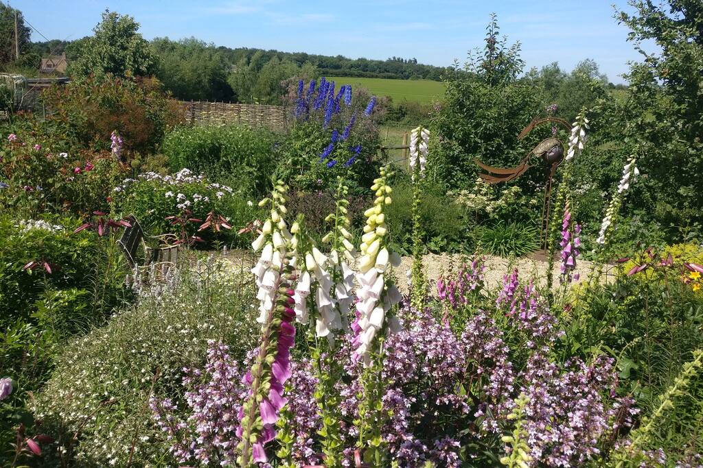 The garden