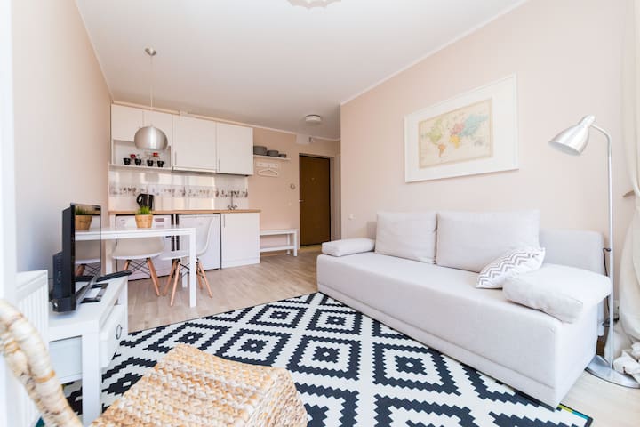 Stepukas Oldtown apartment, suitable for 4 guests