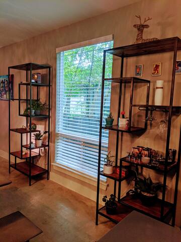 Beautiful Modern Home in East Austin gallery image 4