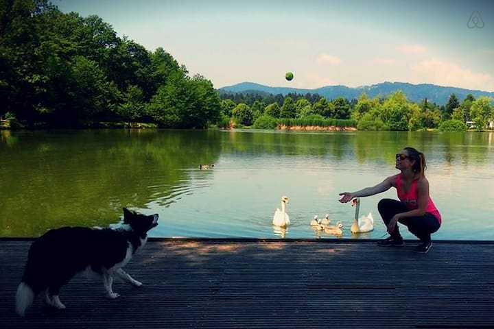 ZenArt APARTMENT/Central/FREE Parking,WiFi,Aircon.