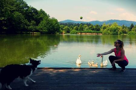 ZenArt apartment/Central/FREE Parking,WiFi,Aircon.