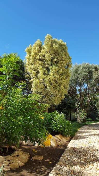 A path to the south side of the villa.