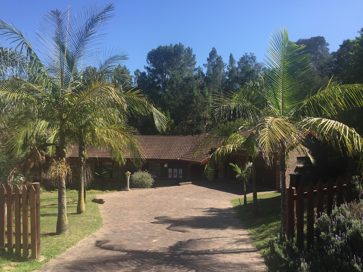 The image portrays a charming single-story home framed by tall palm trees. A paved pathway leads to the entrance, while lush greenery extends into the background, offering a glimpse of the surrounding forest.