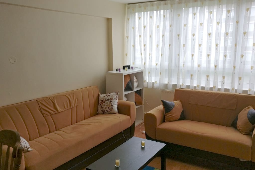 Living room with dinning table and sofas