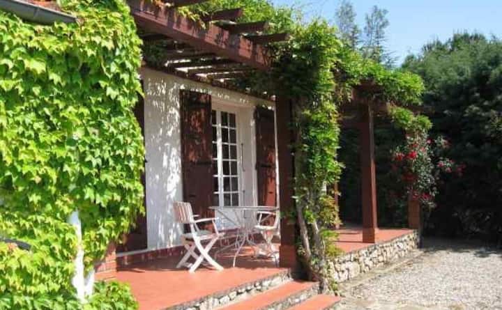 Las Vignes De Prop - Céret