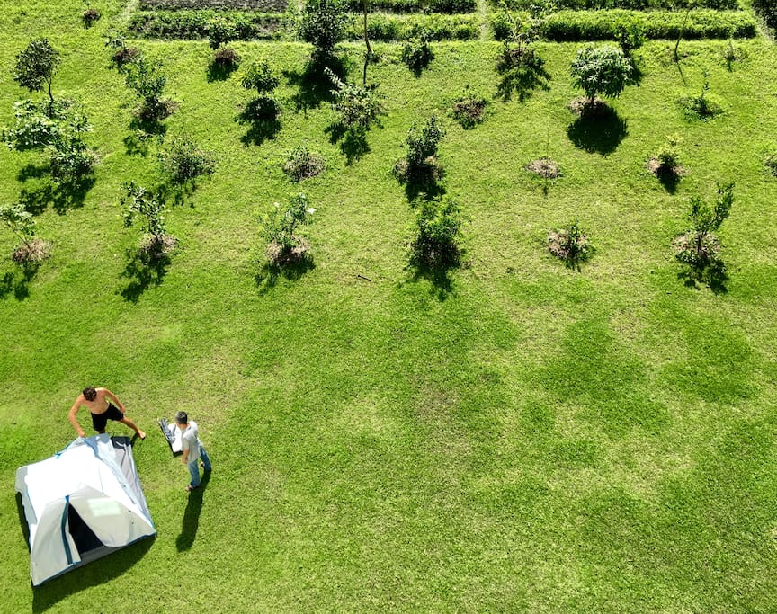 A tent in the garden