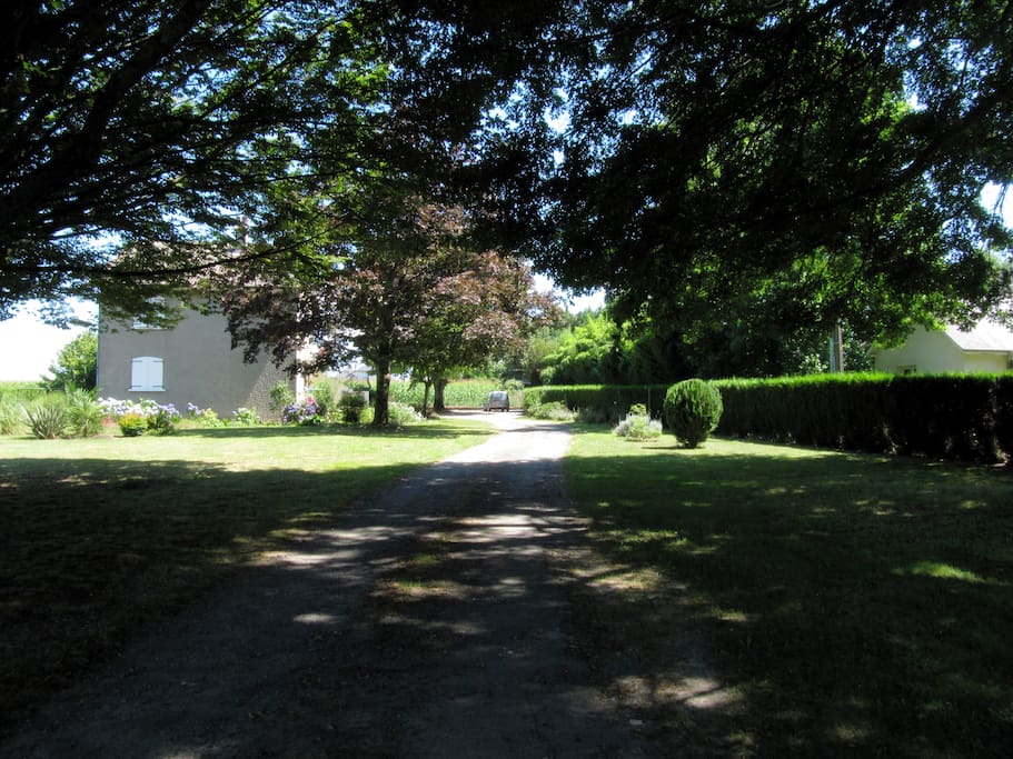 Jardin vue de l'entrée