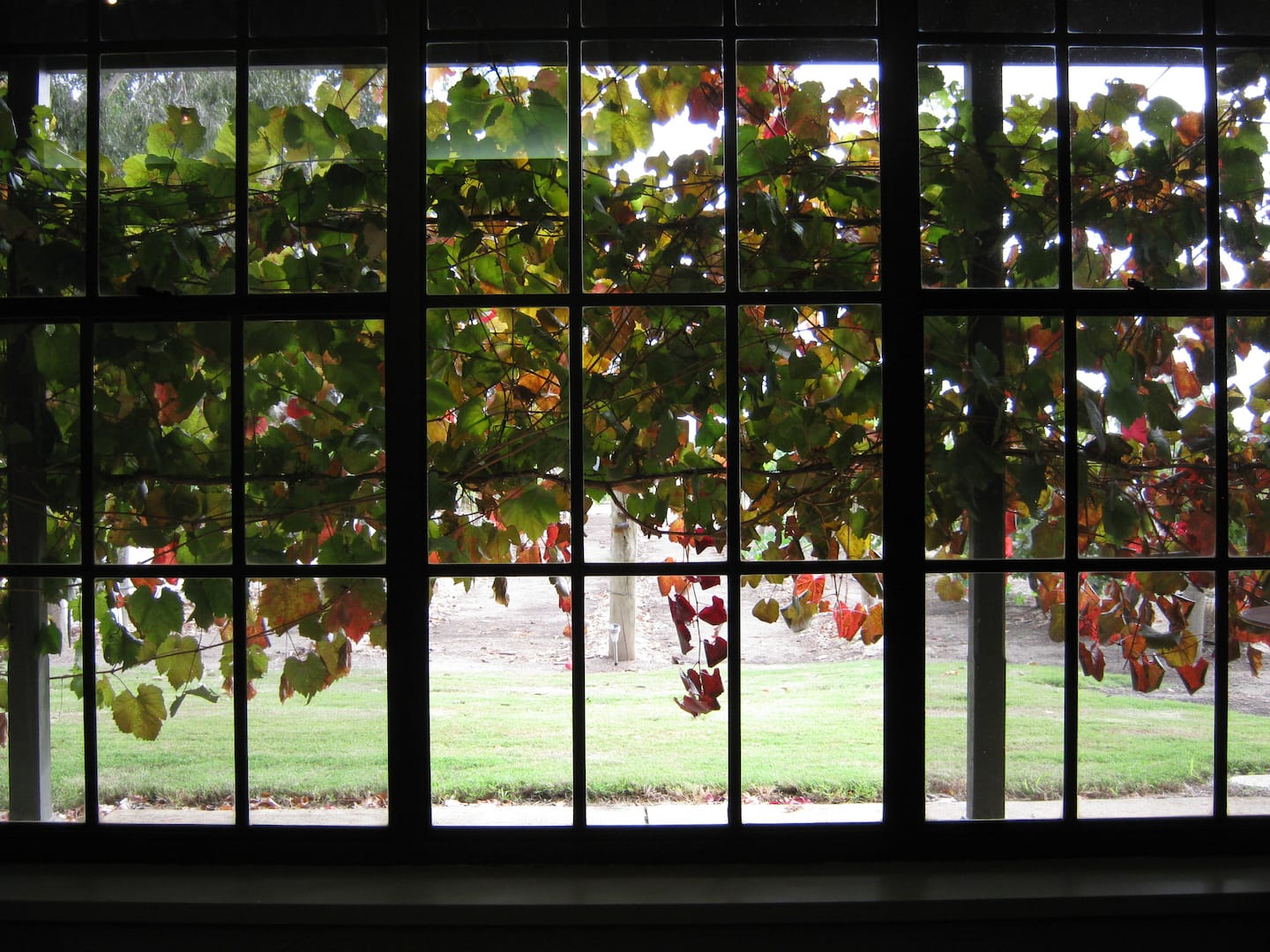 Under The Vines