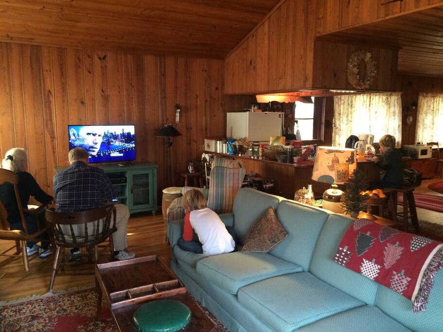 Family vegging out. You can see the kitchen island and breakfast counter in the back right.