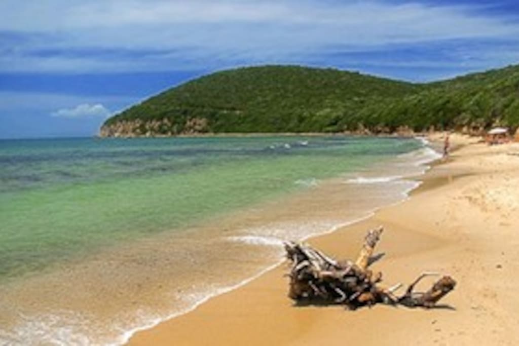 Spiaggia Cala Violina