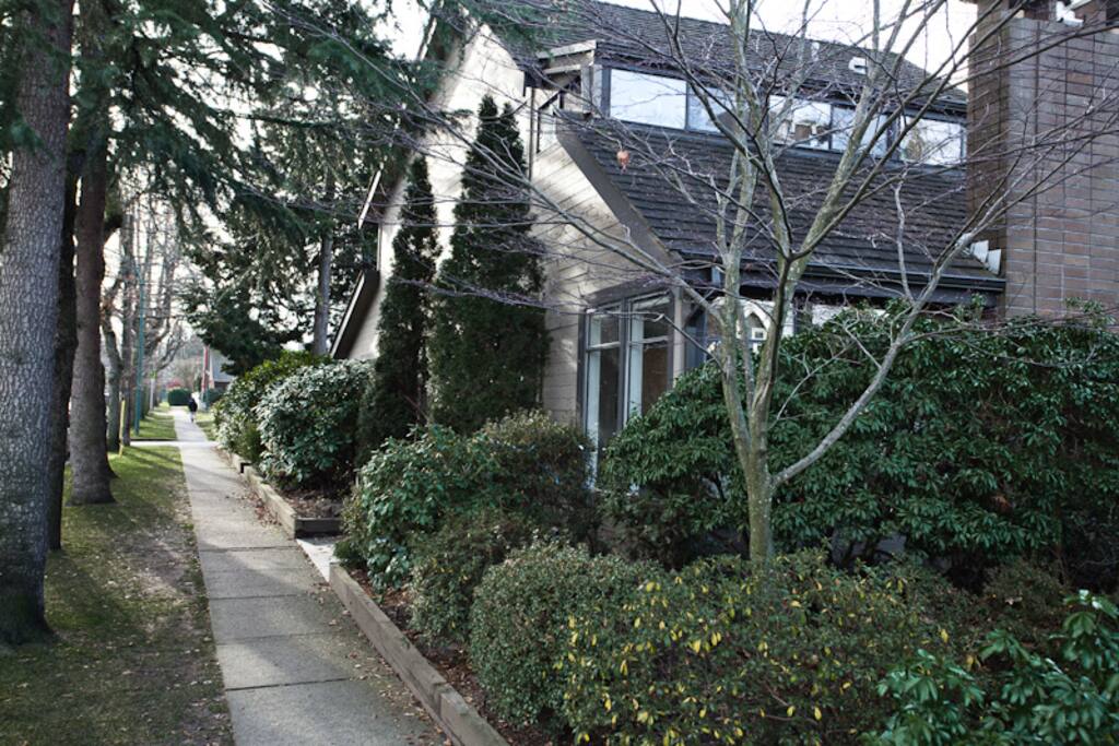Lush, tree lined street with mature gardens