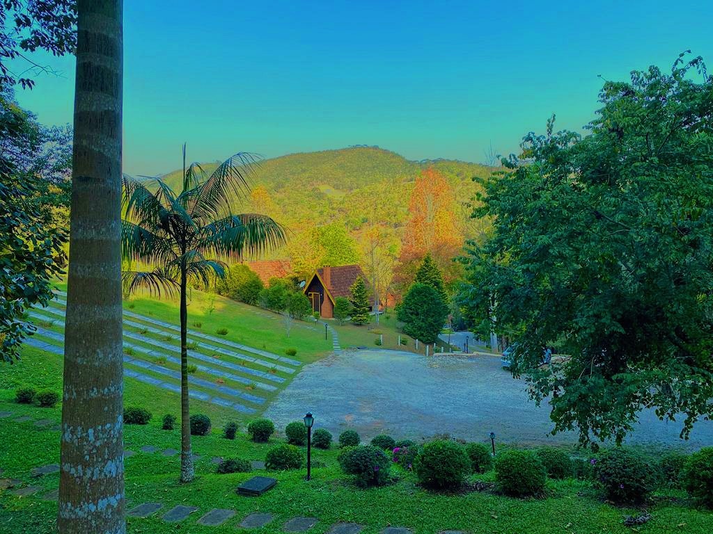 A scenic view displays rolling hills in the background, surrounded by native vegetation. A well-maintained grassy area is visible, alongside a pathway leading toward wooden chalets. Palm trees and various shrubs add to the natural ambiance, inviting relaxation in the serene landscape.
