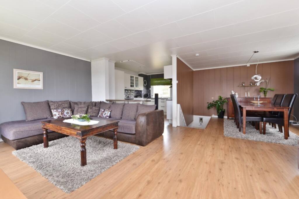 The living room and open kithcen as It looked 2 years ago. Now its painted white.