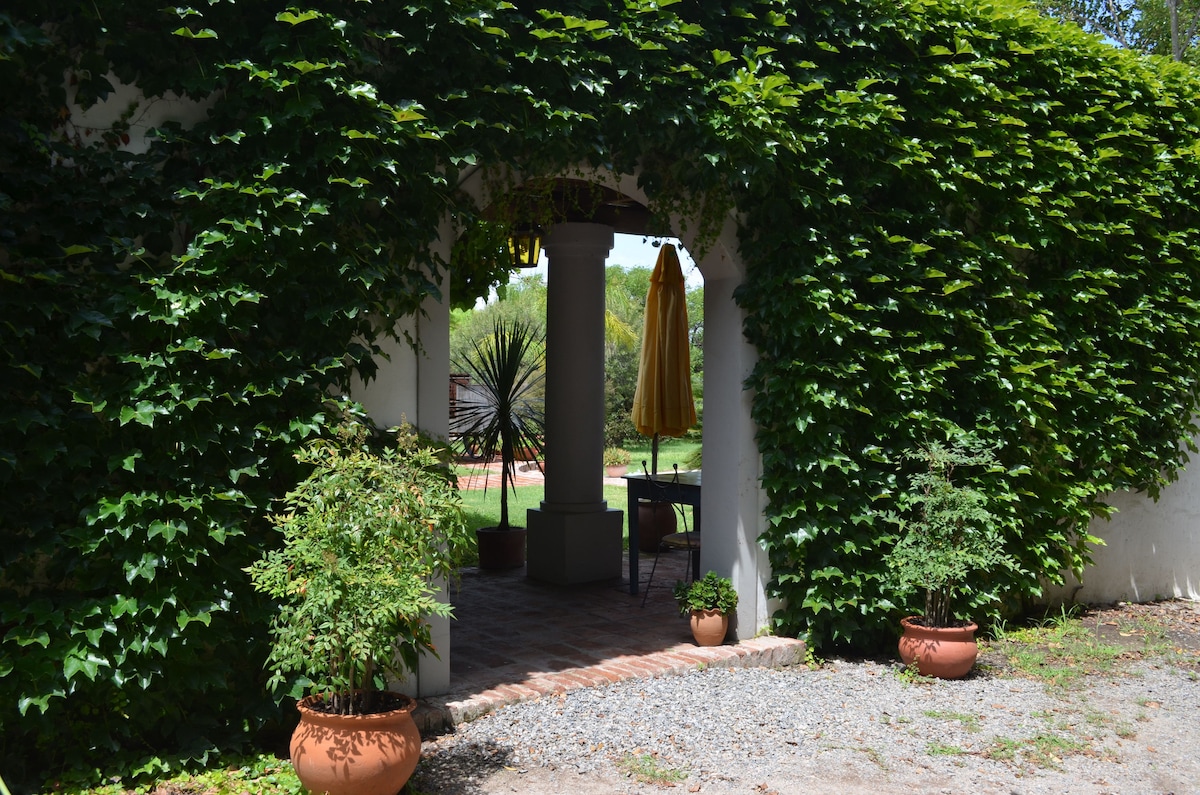 An inviting archway is framed with lush green vines, leading to a shaded area featuring a small table and yellow umbrella. Surrounding potted plants add a touch of greenery, while the gravel pathway offers a welcoming approach to the space.